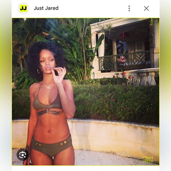 Charlie by Matthew Zink Bikini - Picture 1 of 7